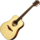 Guitare Folk Lg Acoustique T88D