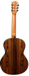 Guitare Folk Lg Smart Guitar Hyvibe CHV30E