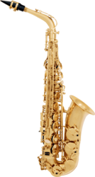 Saxophone SML Alto VSM A300