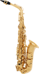 Saxophone SML Alto VSM A300