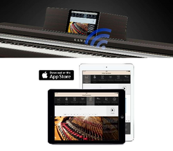 Piano Numrique Kawai KDP120