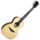 Guitare Folk Lg Electro-Acoustique T318-MH-PE