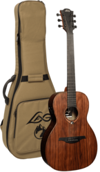 Guitare Folk Lg Electro-Acoustique SAUVAGE-PE
