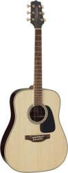 Guitare Folk Takamine Acoustique GD51NAT
