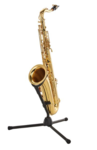 Saxophone Tenor YANAGISAWA T-WO1