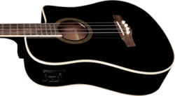 Guitare Basse EKO Acoustique NXT-B100CWE-BLK