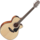 Guitare Folk Takamine Electro-Acoustique GN30CENAT