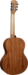 Guitare Folk Lg Smart Guitar BlueWave 2 CBW2E