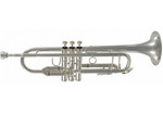 Trompette SML TP500S