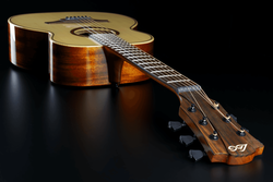 Guitare Folk Lg Acoustique TRAVEL-SP
