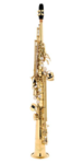 Saxophone Soprano YANAGISAWA S-WO1