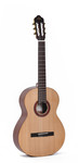Guitare Sigma classique CM-2