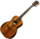 Guitare Folk Lg Electro-Acoustique T98PE