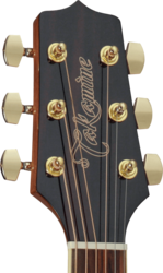 Guitare Folk Takamine Acoustique GD51NAT