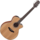 Guitare Folk Takamine Electro-Acoustique GN20CENS