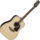 Guitare Folk Takamine Acoustique GD51NAT