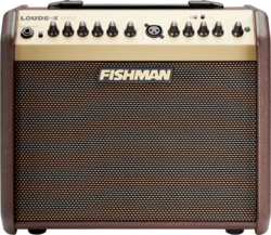 Ampli acoustiques FISHMAN Mini PRO-LBT-500 