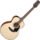 Guitare Folk Takamine Electro-Acoustique GLN12ENS