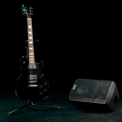 Enceinte ALTO PRO TX308