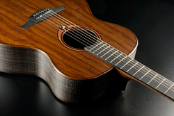 Guitare Folk Lg Acoustique SAUVAGE-A
