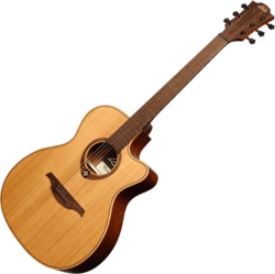 Guitare Folk Lg Electro-Acoustique T170ACE
