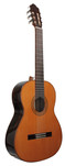 Guitare classique ESTEVE 3Z F/E ZIRICOTE 15443-ZI