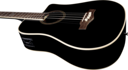 Guitare Basse EKO Acoustique NXT-B100CWE-BLK