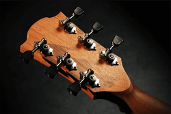 Guitare Folk Lg Acoustique T70D-NAT