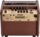 Ampli acoustiques FISHMAN PRO-LBT-400