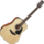 Guitare Folk Takamine Acoustique GD30NAT