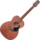 Guitare Folk Takamine Electro-Acoustique GLN11ENS