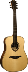 Guitare Folk Lg Acoustique T318D