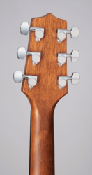 Guitare Folk Takamine Electro-Acoustique GLN11ENS
