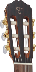 Guitare classique TAKAMINE Electro-Acoustique GC5CENAT
