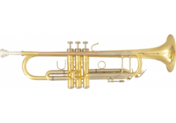 Trompette SML TP500