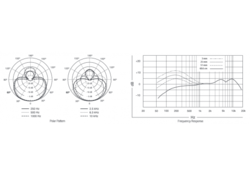 Micro SHURE BETA87A