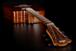 Guitare Folk Lg Electro-Acoustique T98DCE