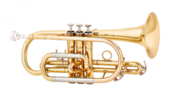 Cornet MTP Basic 300