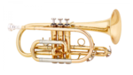 Cornet MTP Basic 300