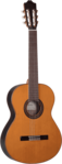 Guitare Cuenca Classique Srie 45 ZIRICOTE