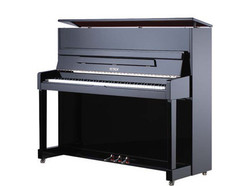 Pianos Acoustiques
