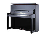 Pianos Acoustiques