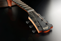 Guitare Folk Lg Acoustique SAUVAGE-D