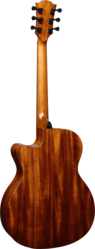 Guitare Folk Lg Electro-Acoustique T170ACE