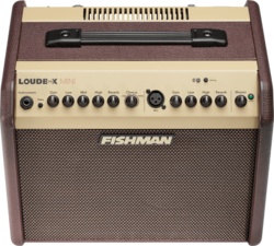 Ampli acoustiques FISHMAN Mini PRO-LBT-500 