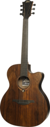 Guitare Folk Lg Electro-Acoustique SAUVAGE-ACE