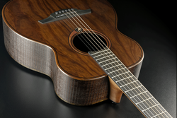 Guitare Folk Lg Acoustique SAUVAGE-T
