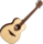 Guitare Folk Lg Acoustique TRAVEL-SP