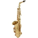 Saxophone Alto YANAGISAWA A-WO1