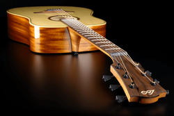 Guitare Folk Lg Acoustique T88D